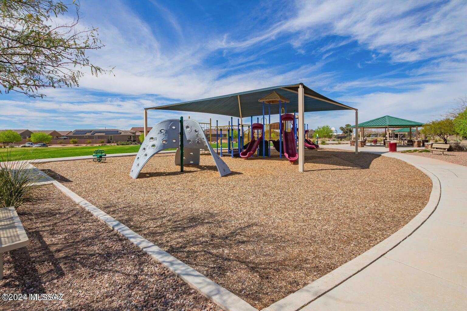 Saguaro Bloom SQ20180540069 - Residential