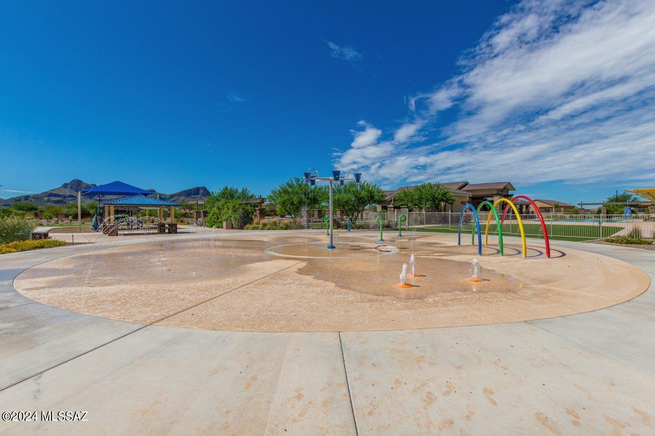 Saguaro Bloom SQ20180540069 - Residential