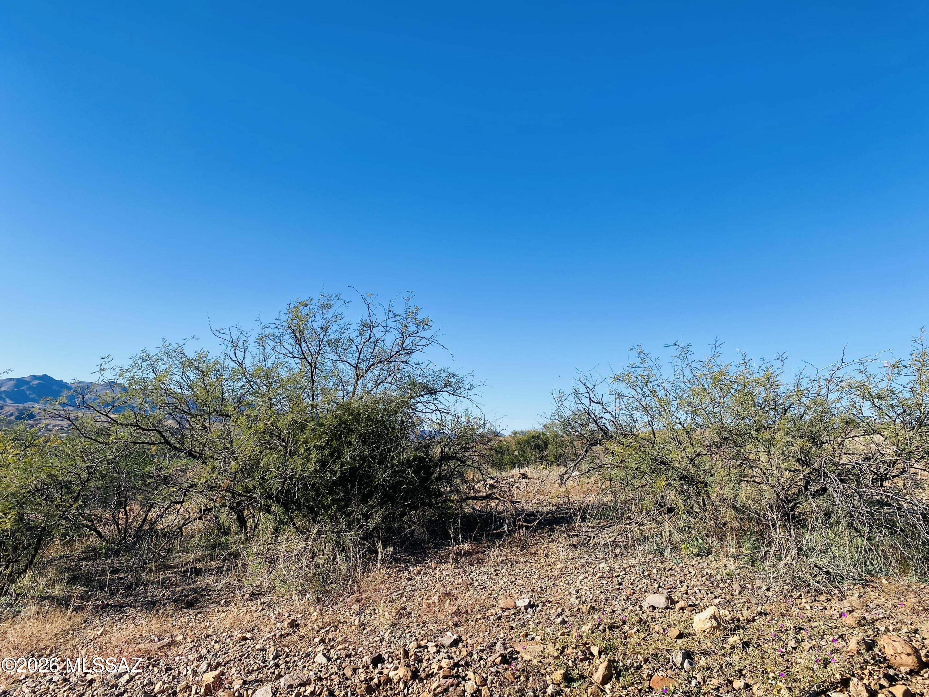 Beautiful mountain views in West Rio Rico. Conveniently located near shopping, dining, schools, and I-19 Exit 17. This gently sloping lot features a spacious, flat building area at street level, elevated approximately three feet above the roadway, offering both ease of access and excellent potential for development. Parcel requires alternative septic system.