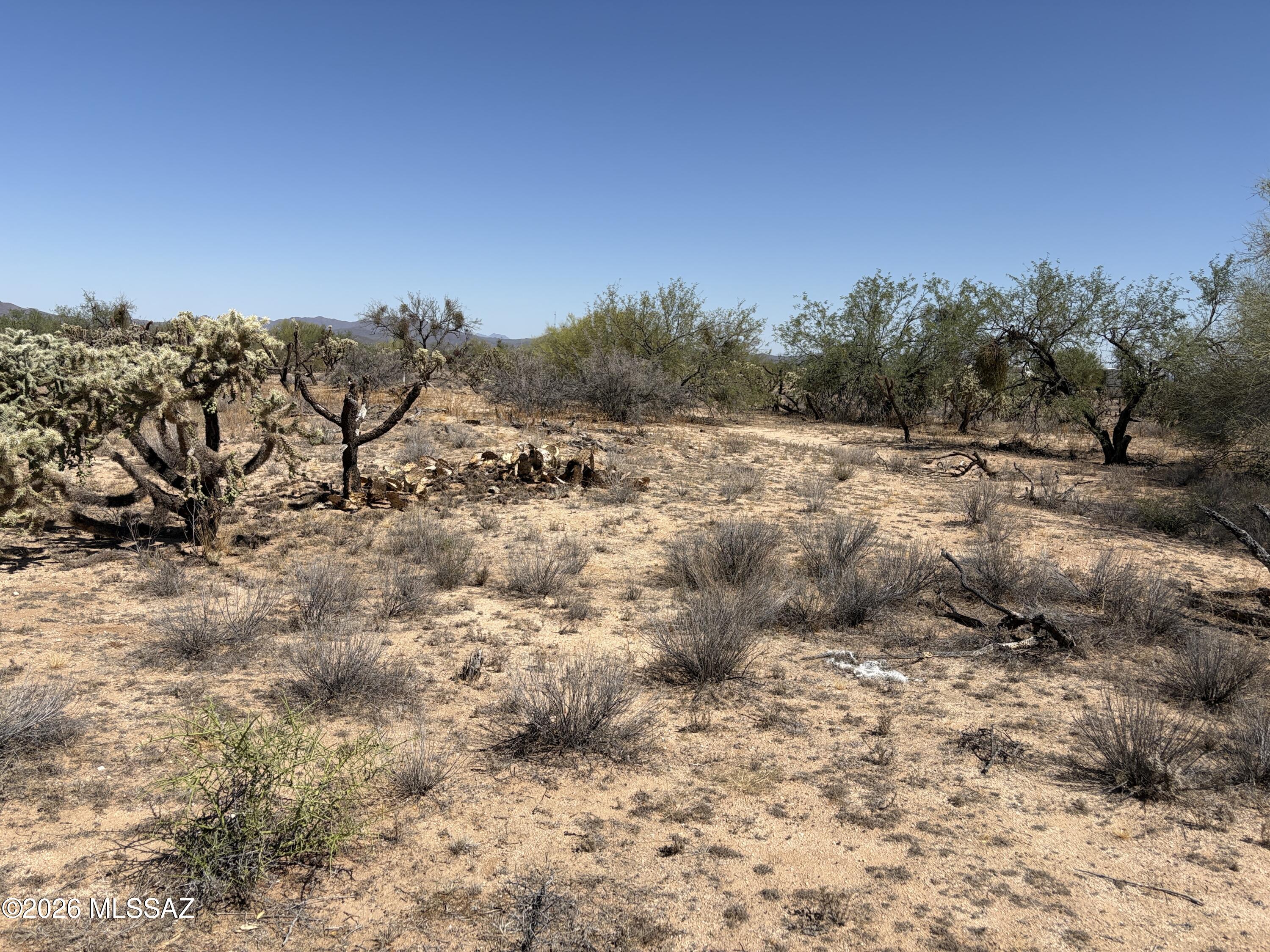 Two acres in Diamond Bell Ranch on dirt road .  Pristine land - never developed - electric 2/10th mile south - area of site built and manufactured homes - great opportunity for a homestead.