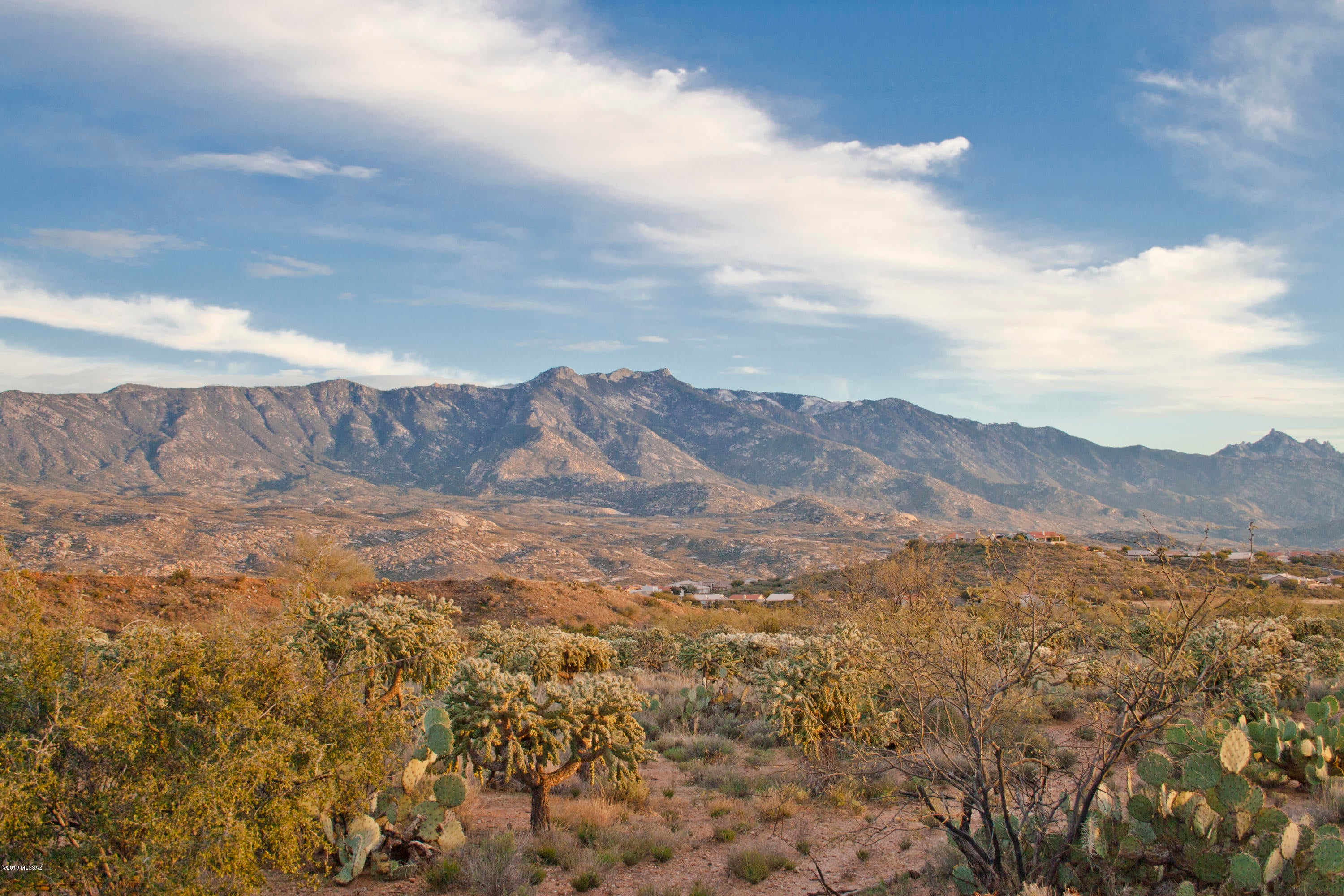 A STUNNING Catalina Mountain view for your custom home build! With a sizable wash to the east, this lot is guaranteed to have both privacy and a preserved corridor looking towards the inspiring Catalina Mountains. With 1.25 acres of flat building area, just about any reasonably sized home will fit on this amazing lot. Now with power set up to the lot line. Enjoy the Sonoran Desert natural landscape of mesquites, palo verdes and a variety of cactus species. Save money every month and avoid hassles as you relish in this property with NO HOA or CC&Rs. Close to Saddlebrooke, yet on a spacious lot with some much needed elbow room!
