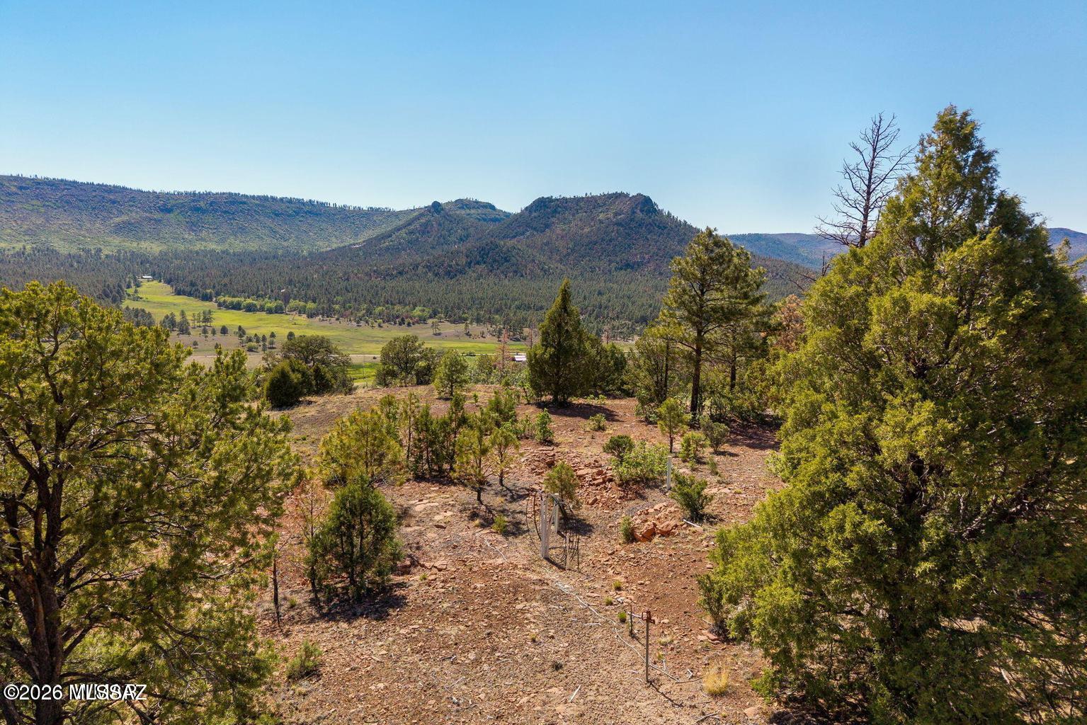 THE HARD PART IS ALREADY DONE -- UTILITIES ARE IN PLACE ON THIS RARE NOBLE MOUNTAIN HILL-TOP PARCEL! This exceptional 4.08-acre parcel sits high above 8,000 feet on top of the highly sought after Noble Mountain Estates offering a beautifully treed setting with Auger Canyon valley below. All you need to do is bring your vision to build! Unlike most vacant land offerings, this property already has key utilities in place, including power at the property line, a private 390-foot well producing approximately 10 GPM with a storage tank, and a septic tank connected to a common leach field. Skip the hassle, time, and expense of major utility installation and start planning your dream mountain home with confidence. Located at the end of a quiet cul-de-sac, the property offers privacy, a flat building area, and the ability to maximize the stunning mountain and valley views. Currently the only lot listed in the area with all utilities included, this is a truly rare opportunity in the heart of Nutrioso. Enjoy the ultimate White Mountain lifestyle with world-class hunting and fishing, lakes, rivers, streams, hiking, biking, and year-round recreation nearby. Sunrise Ski Resort is approximately 35 minutes away.