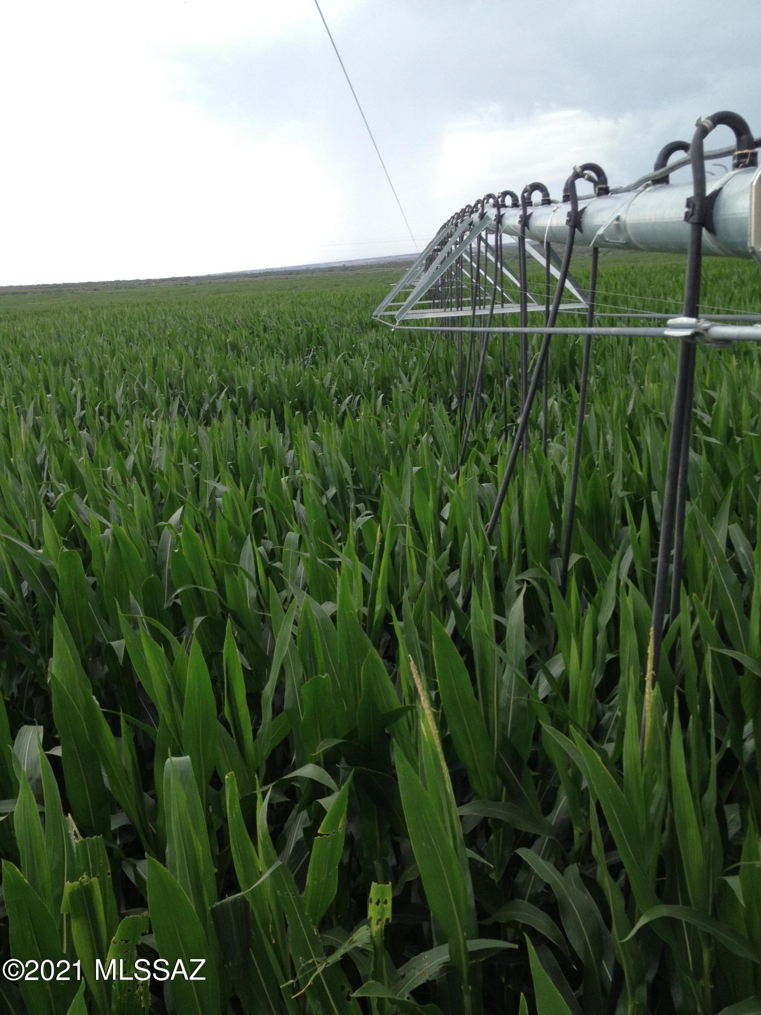 Unsubdivided - Farm