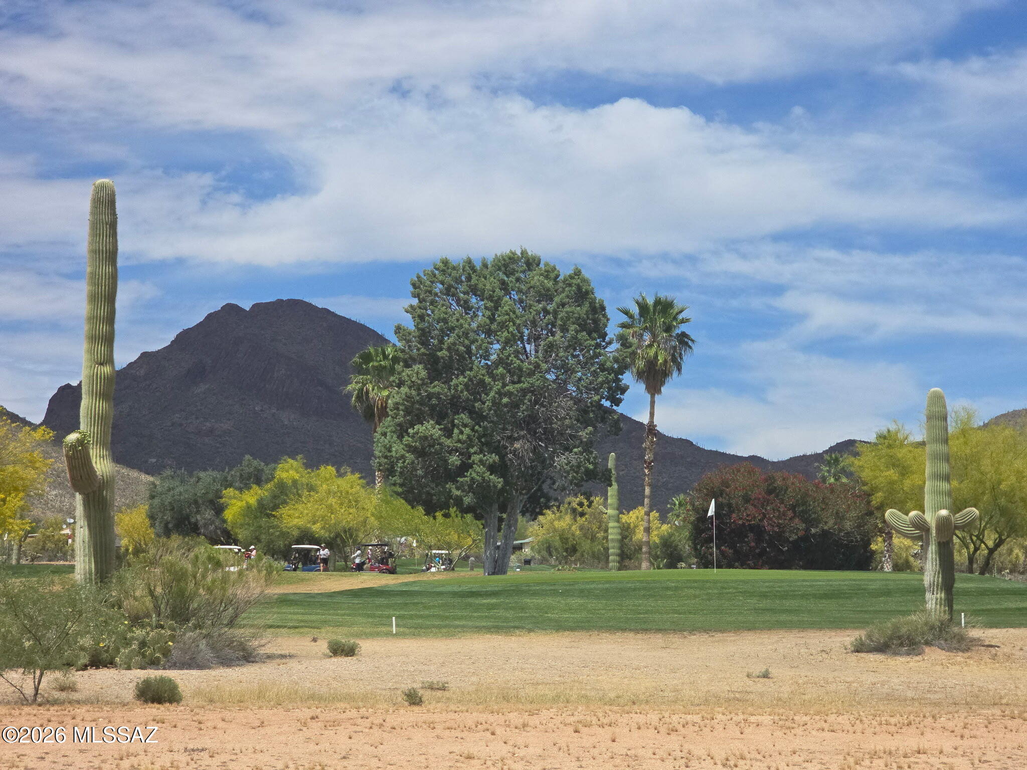 GOLF COURSE PROPERTY!! Charming 1971 fixer-upper in Tucson Estates. Home sits behind the 16th green on the executive golf course with beautiful mountain views. This 2-bedroom, 2-bath home sits on a large lot offering privacy and room to customize. Features include a functional layout, ample storage, and excellent potential for renovation. Enjoy peaceful surroundings, desert scenery, and the conveniences of the Tucson Estates community. Perfect opportunity for buyers looking to create a personalized desert retreat or invest in a well-located property with exceptional views and space.