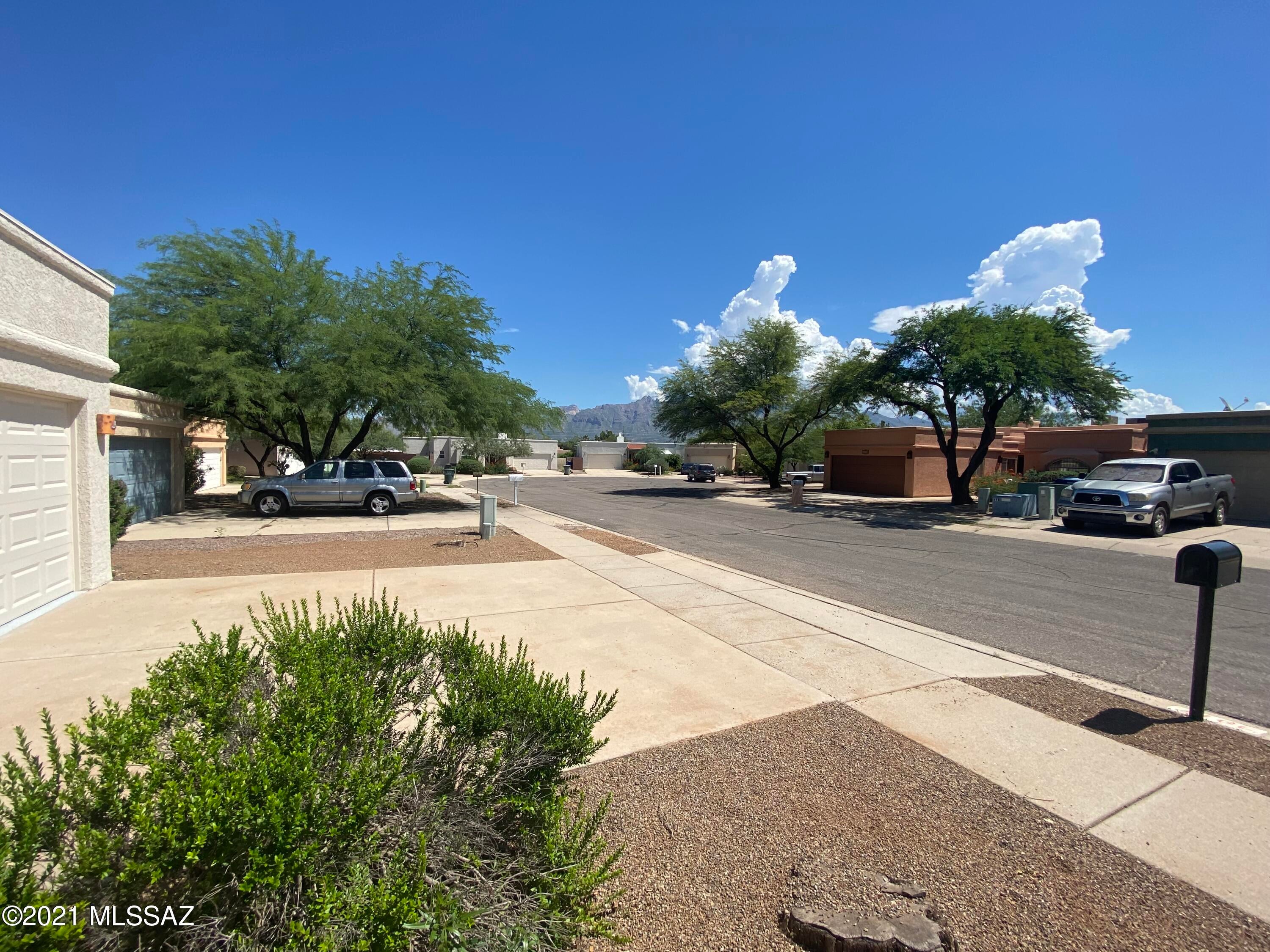 Vine Tree (1-11) - Residential Lease