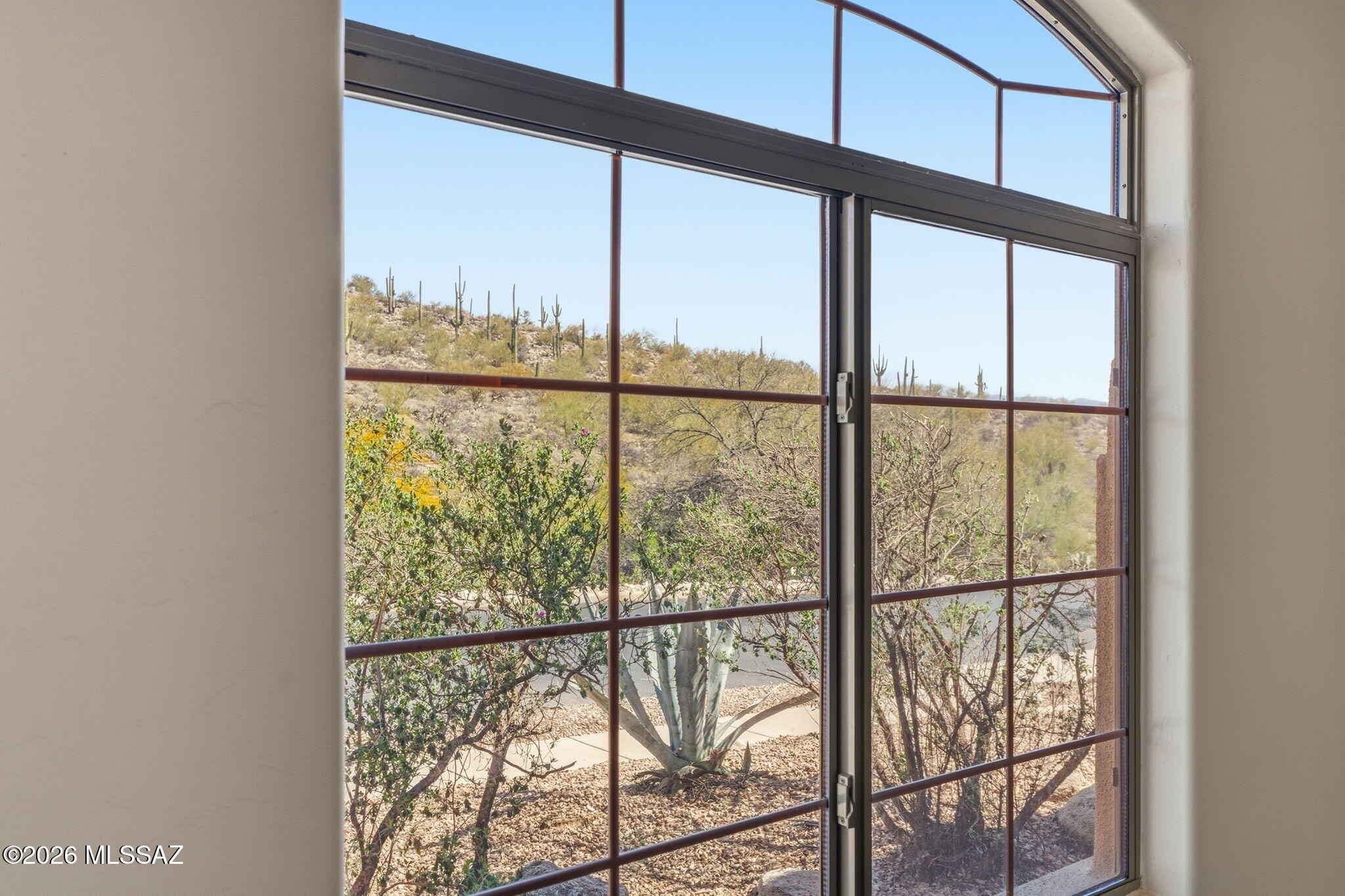 Sabino Mountain (1-290) - Residential