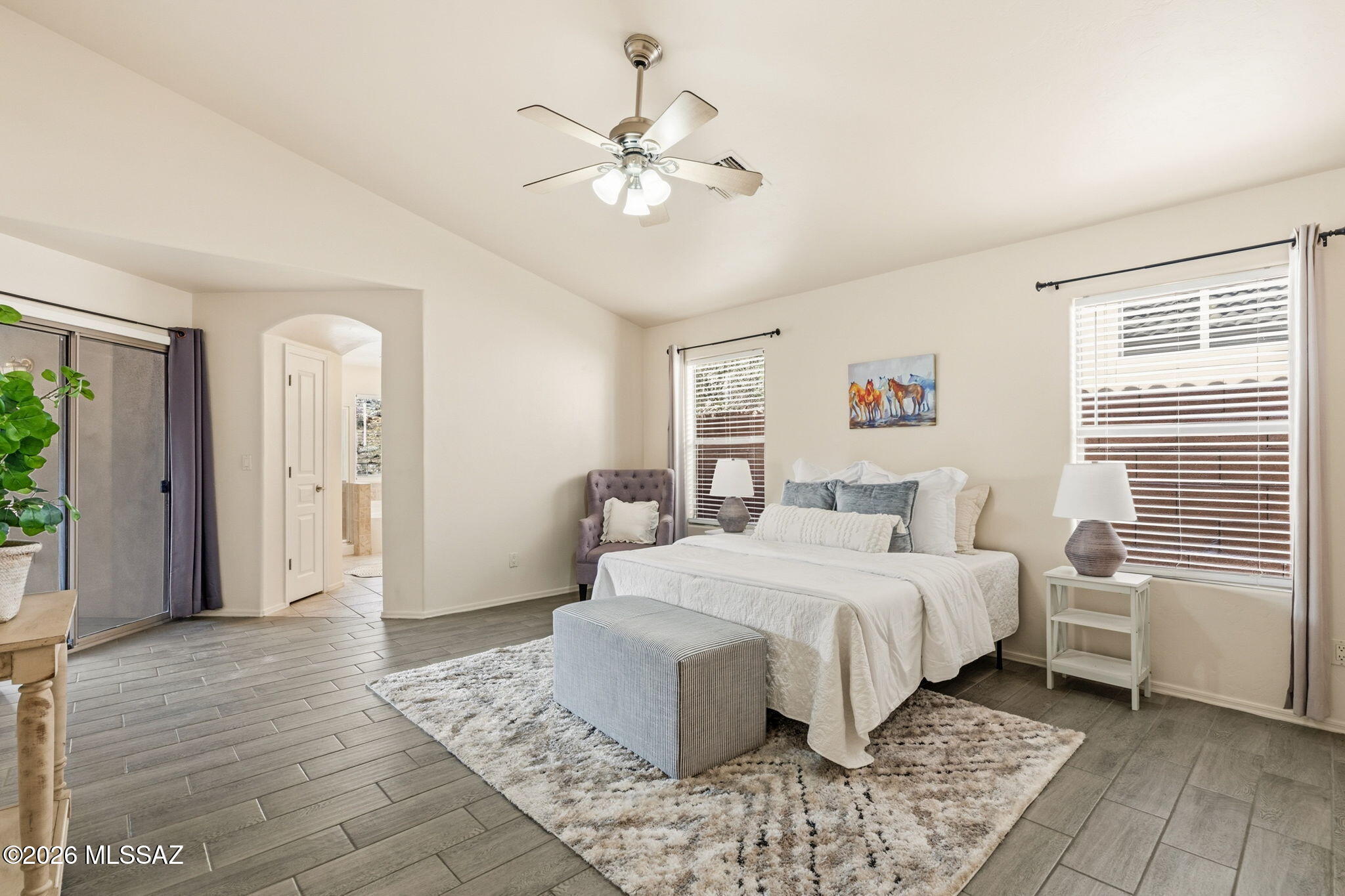 Sabino Mountain (1-290) - Residential