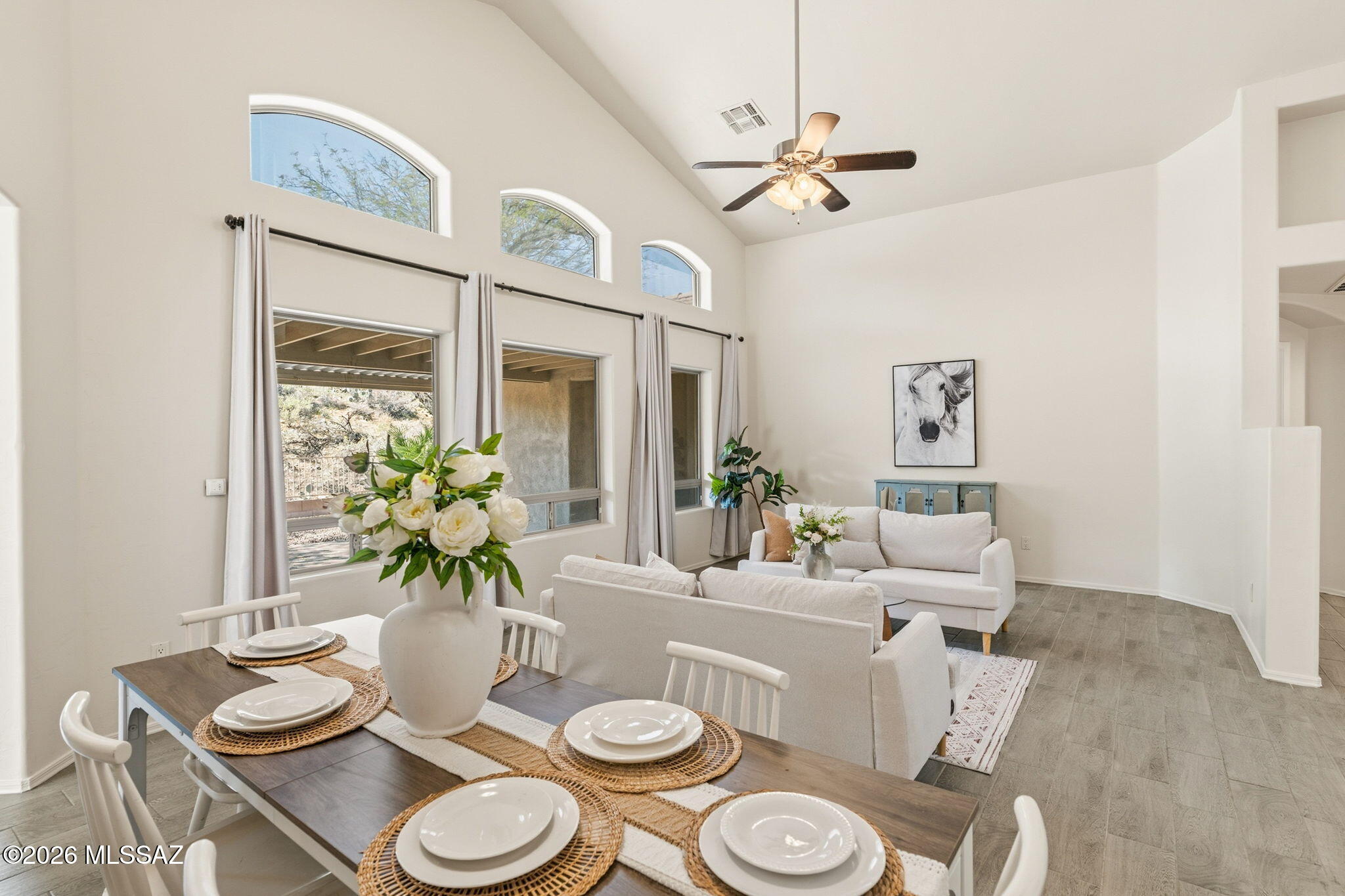 Sabino Mountain (1-290) - Residential