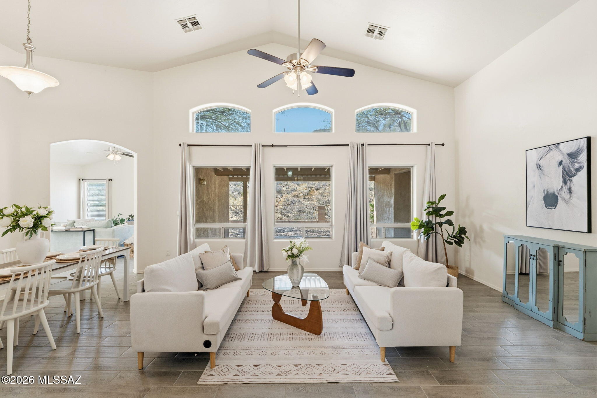 Sabino Mountain (1-290) - Residential
