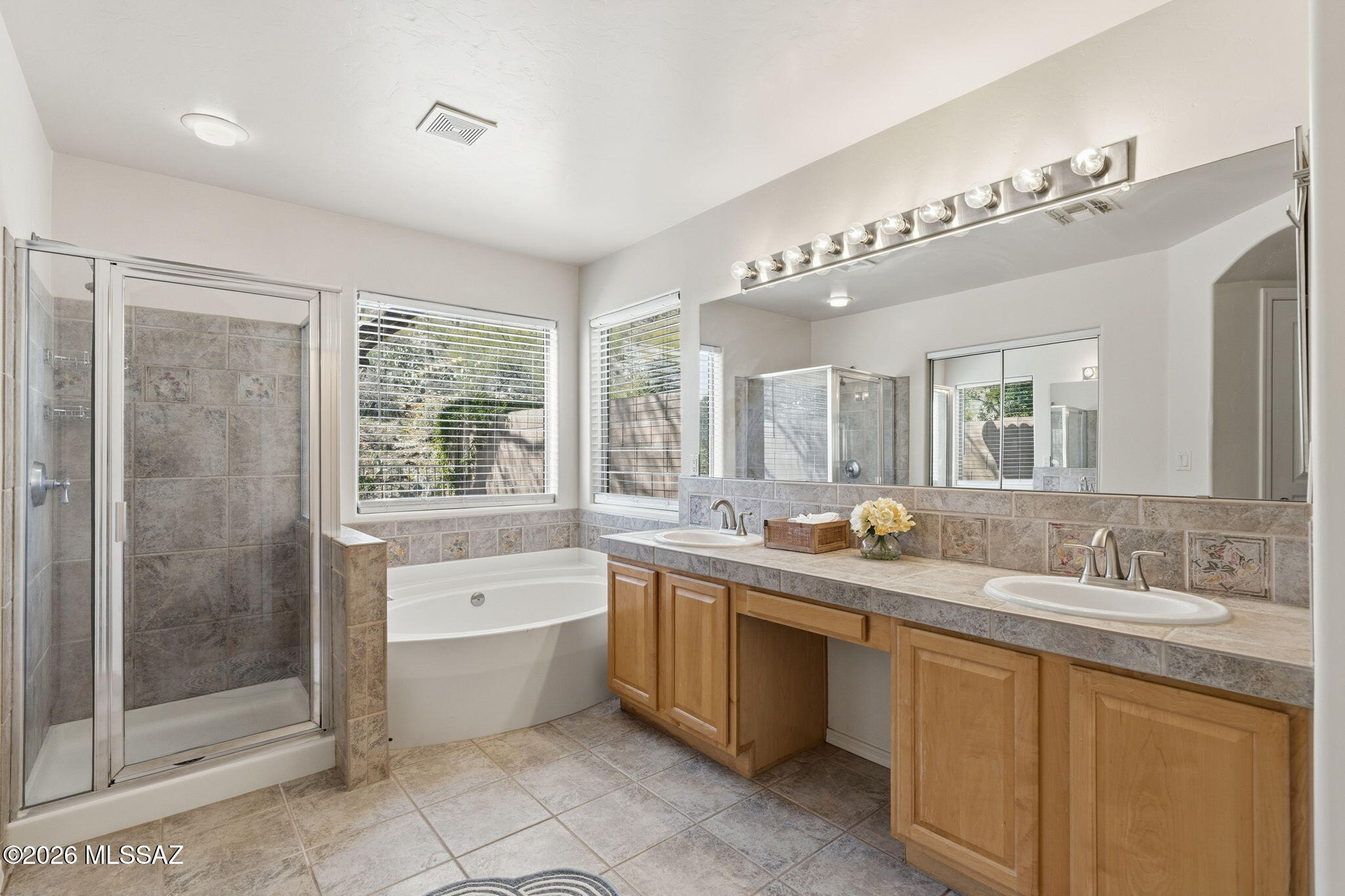 Sabino Mountain (1-290) - Residential