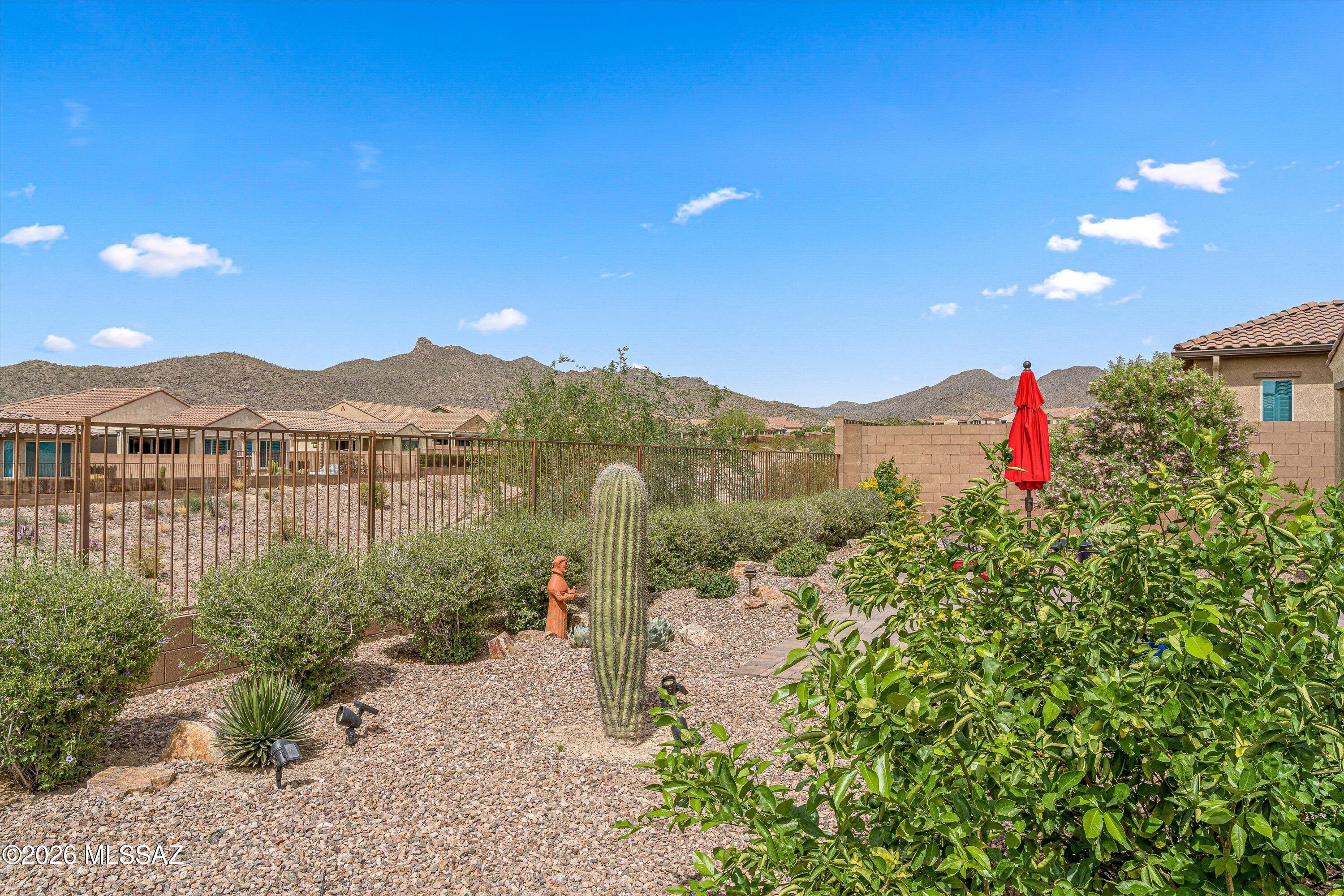 Del Webb at Dove Mountain VII - Residential