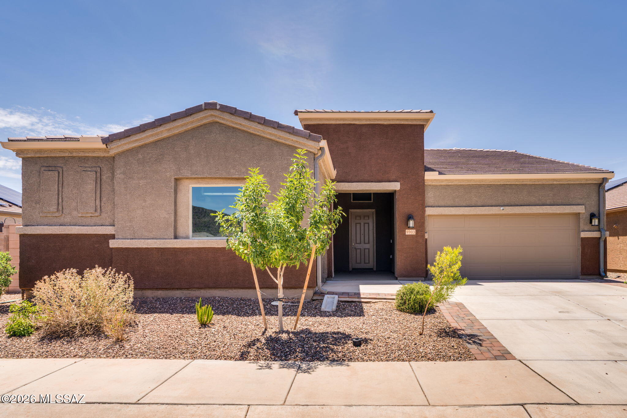Saguaro Bloom 7B - Residential