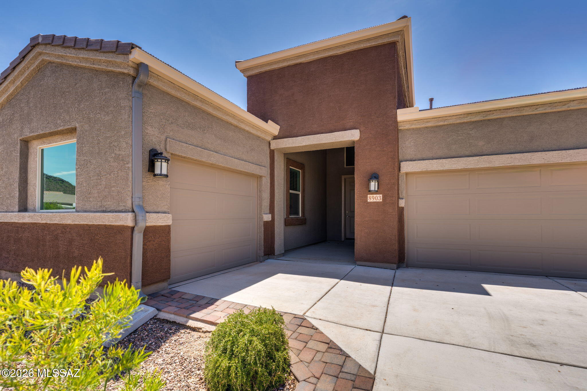 Saguaro Bloom 7B - Residential