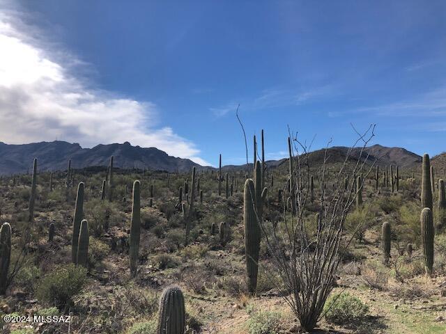 This ''END OF THE ROAD' 3.32 acre BEAUTY is a RARE, AFFORDABLE parcel at the base of the TUCSON MOUNTAINS.  Bordering PIMA CO. CONSERVATION Land., and neighboring CORONADO NAT'L FOREST provides a living environment of TRANQUILITY amidst LUSH, PRISTINE DESERT and UNOBSTRUCTED views of the SURROUNDING foothills. Build on a gentle slope in the center of the parcel. Access is GATED on Broken Springs and maintained by the Road and Gate Assoc. with a $400 annual fee. No HOA or CCRs. 
Electric is at the SE corner. Buyer to haul water or drill a well. Paved access until the very end of the road. Homes are built on all surrounding parcels. ENJOY DARK SKIES and all of NATURE'S BEAUTY. See attached aerial map for best place to park & follow pink flags to walk to bldg area.  Call LA to meet on-site.