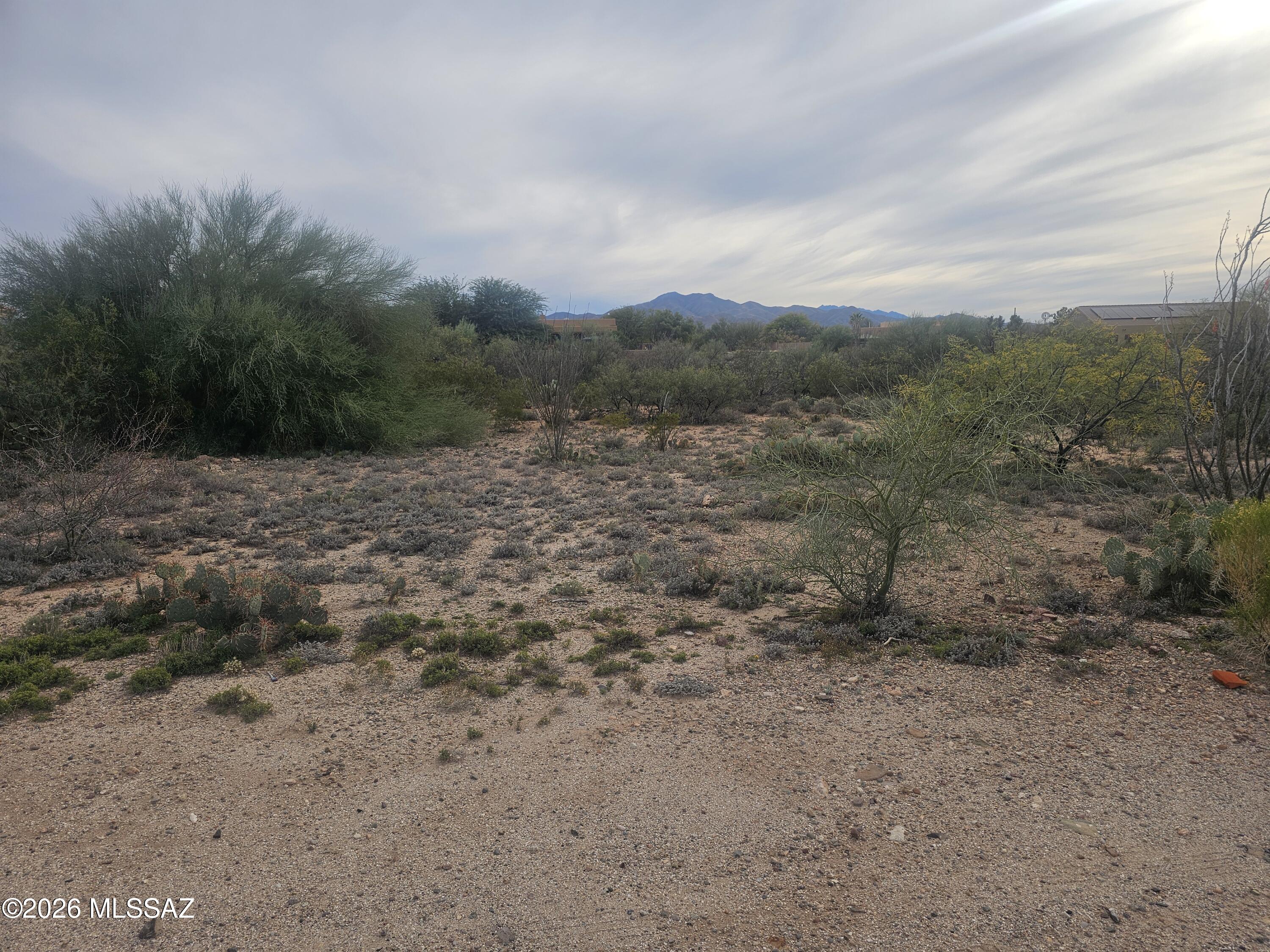 Located in the coveted Vail School District, this almost an acre lot (.92) is surrounded by custom-built homes. Come build your custom house in this gated community that offers space, serenity and privacy. The lot has stunning views of the Rincon mountains and has easy access to the I-10/Sonoita freeways.