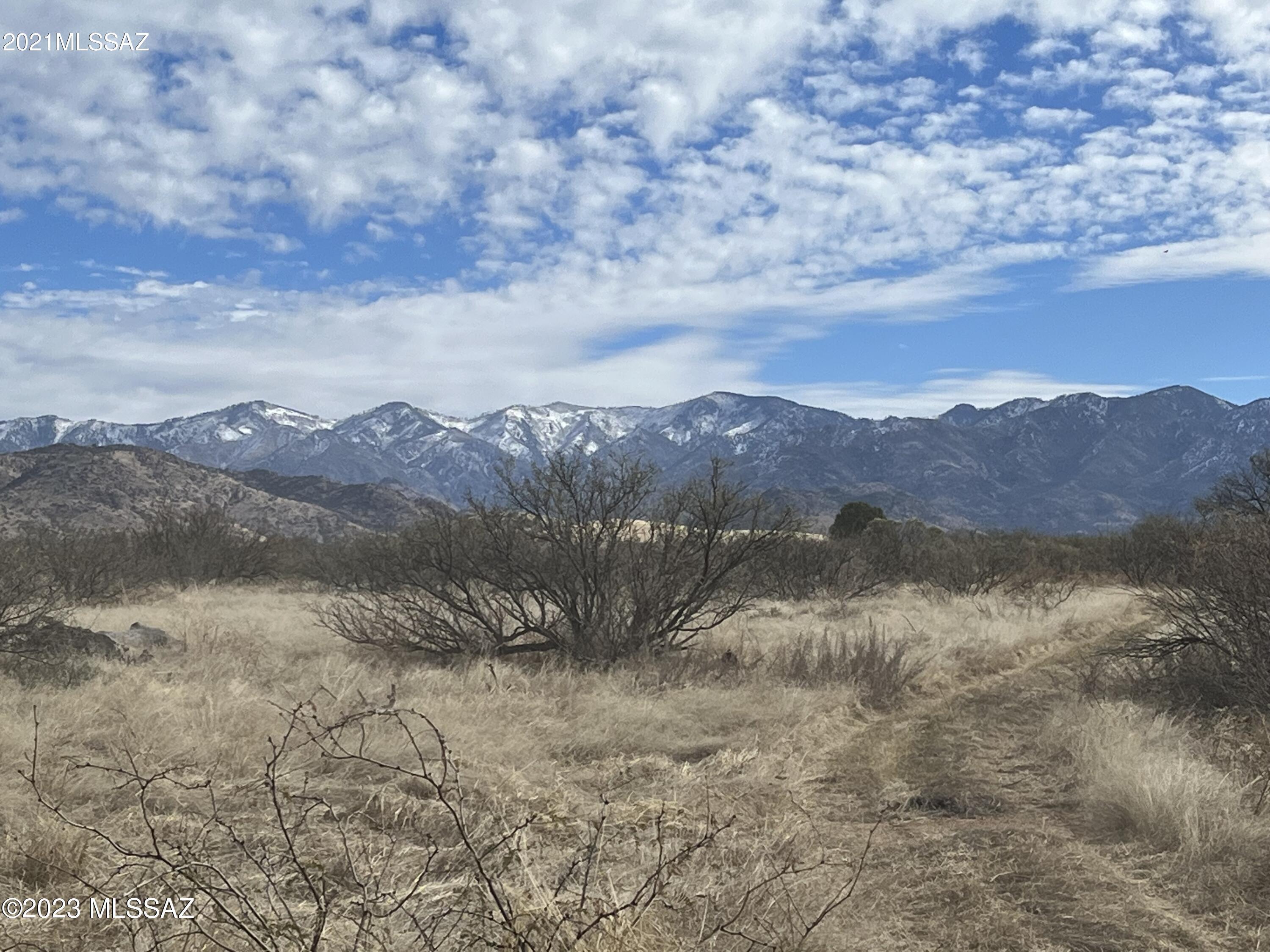 PRIME, DIVIDABLE acreage nestled at the base of the stunning Chiricahua Mountains, neighboring established vineyards and wineries. This exceptional property features frontage along Turkey Creek Road and offers multiple picturesque build sites. Phase 1 electric available along Turkey Creek Road. This land is ready for your vision. Ideal for a vineyard, orchard, or small ranch, the possibilities for growth and development are abundant.  Enjoy a peaceful rural setting with convenient access to Highway 181 and 191, placing you within easy reach of nearby destinations such as Willcox, Chiricahua Ntl Monument, Mt Graham, Cochise Stronghold, and Bisbee-Douglas International Airport.