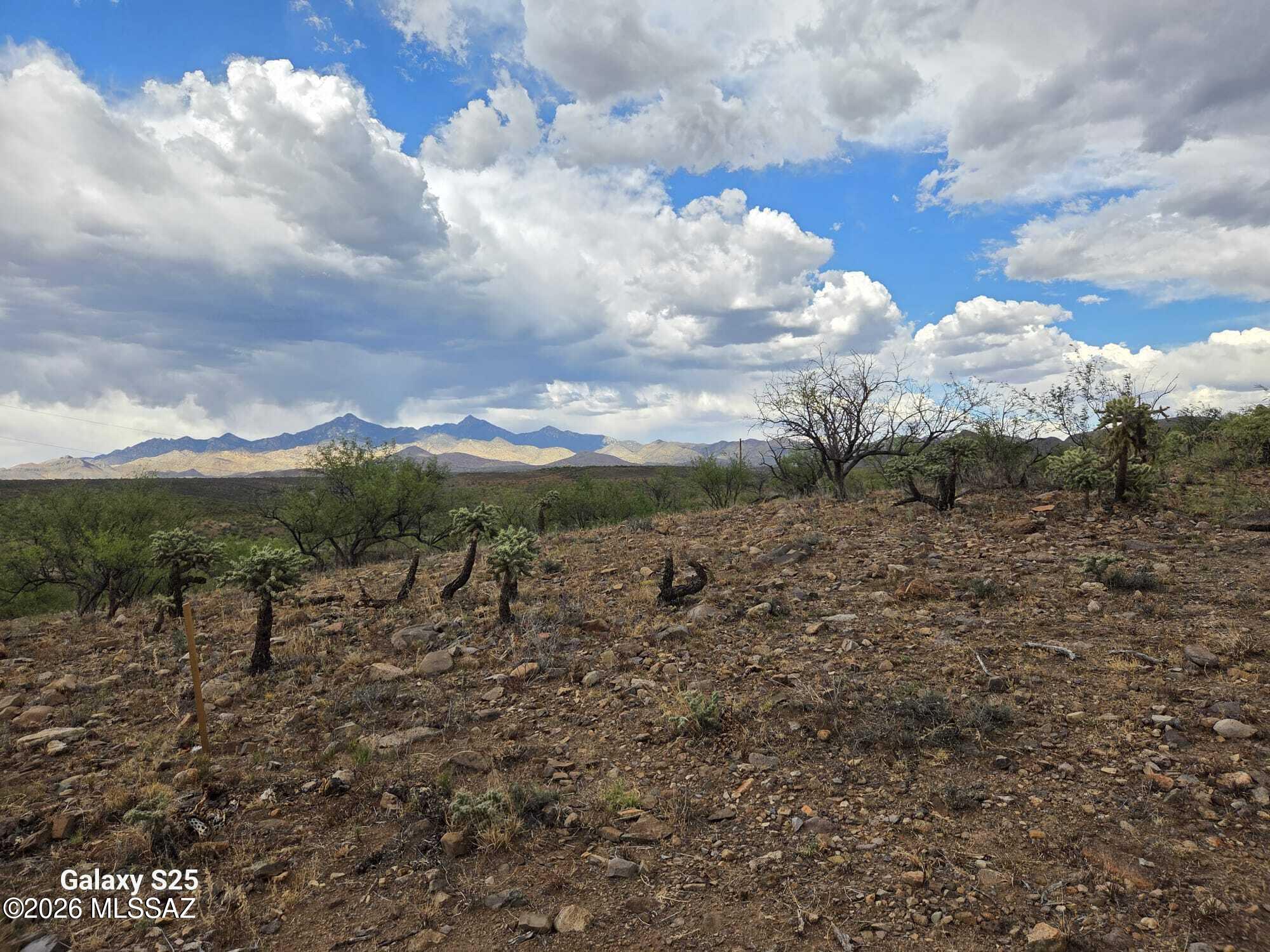 Rio Rico Ranchettes 18 - Land