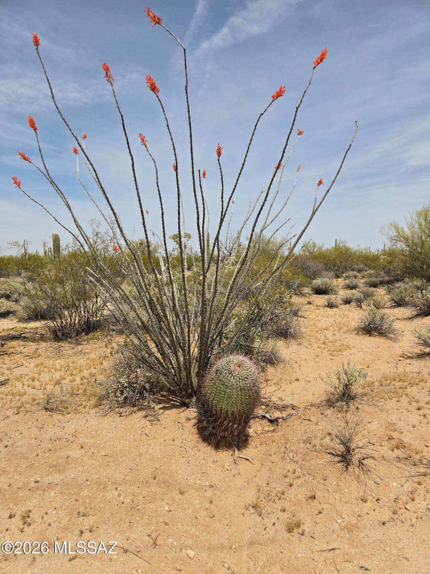 Whisper right into tranquil with heavy vegetation, natural wildlife, sweeping views. Easy access connects to 330 ft county maintained roads.   Sit and hold dream to build. Colorful sunsets and sunrise.
