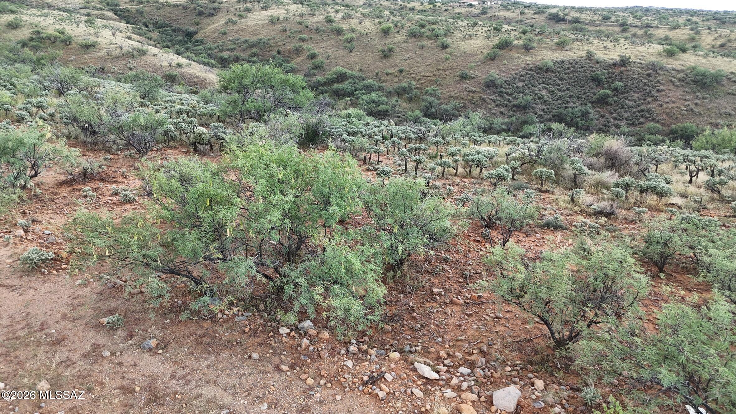 Rio Rico Ranchettes 18 - Land