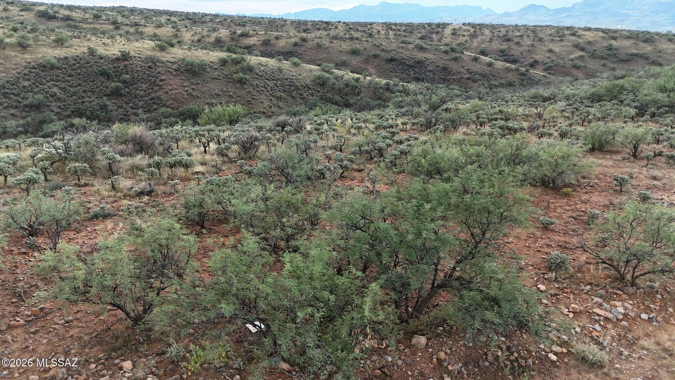 Rio Rico Ranchettes 18 - Land