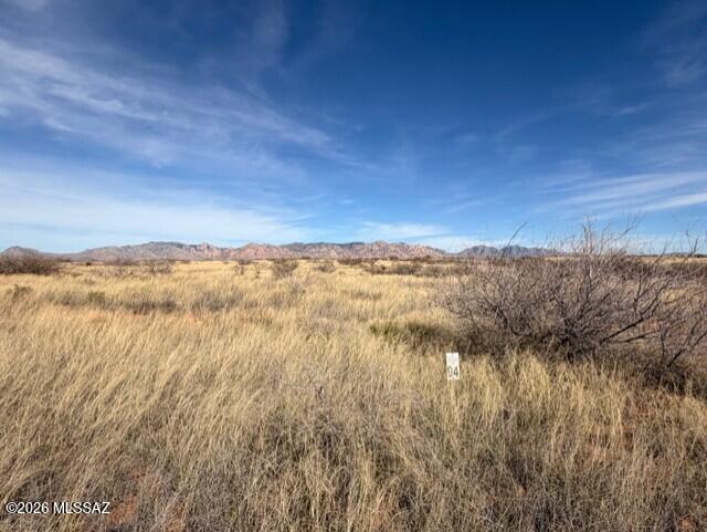 Dragoon Mountain Ranch - Land