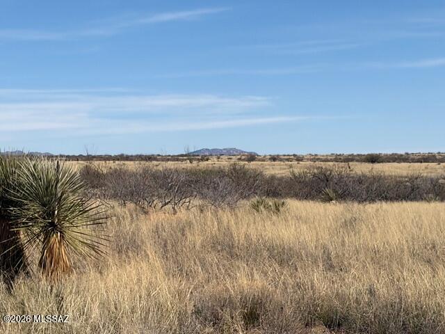 Dragoon Mountain Ranch - Land