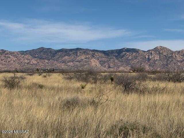 Dragoon Mountain Ranch - Land