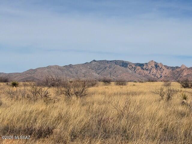 Dragoon Mountain Ranch - Land