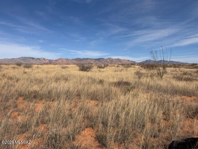 Dragoon Mountain Ranch - Land