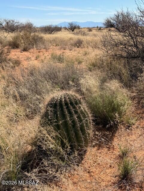 Dragoon Mountain Ranch - Land