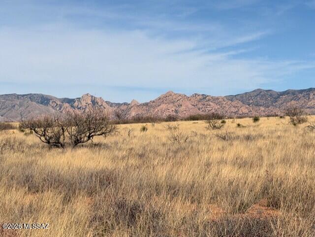 Dragoon Mountain Ranch - Land