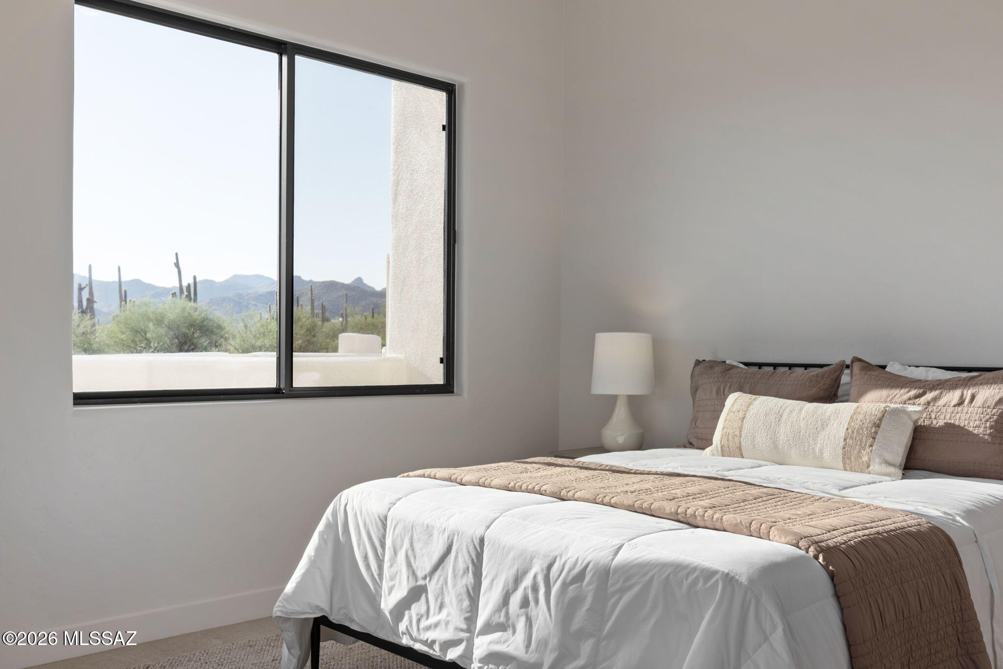 La Cholla Airpark - Residential