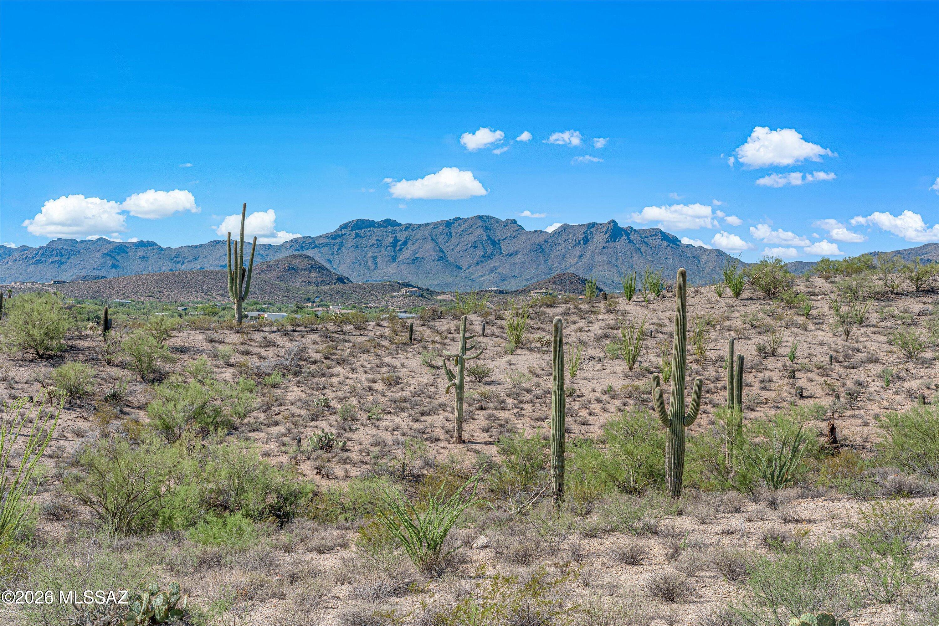Tucson Mountain Reserve (1-124) - Land