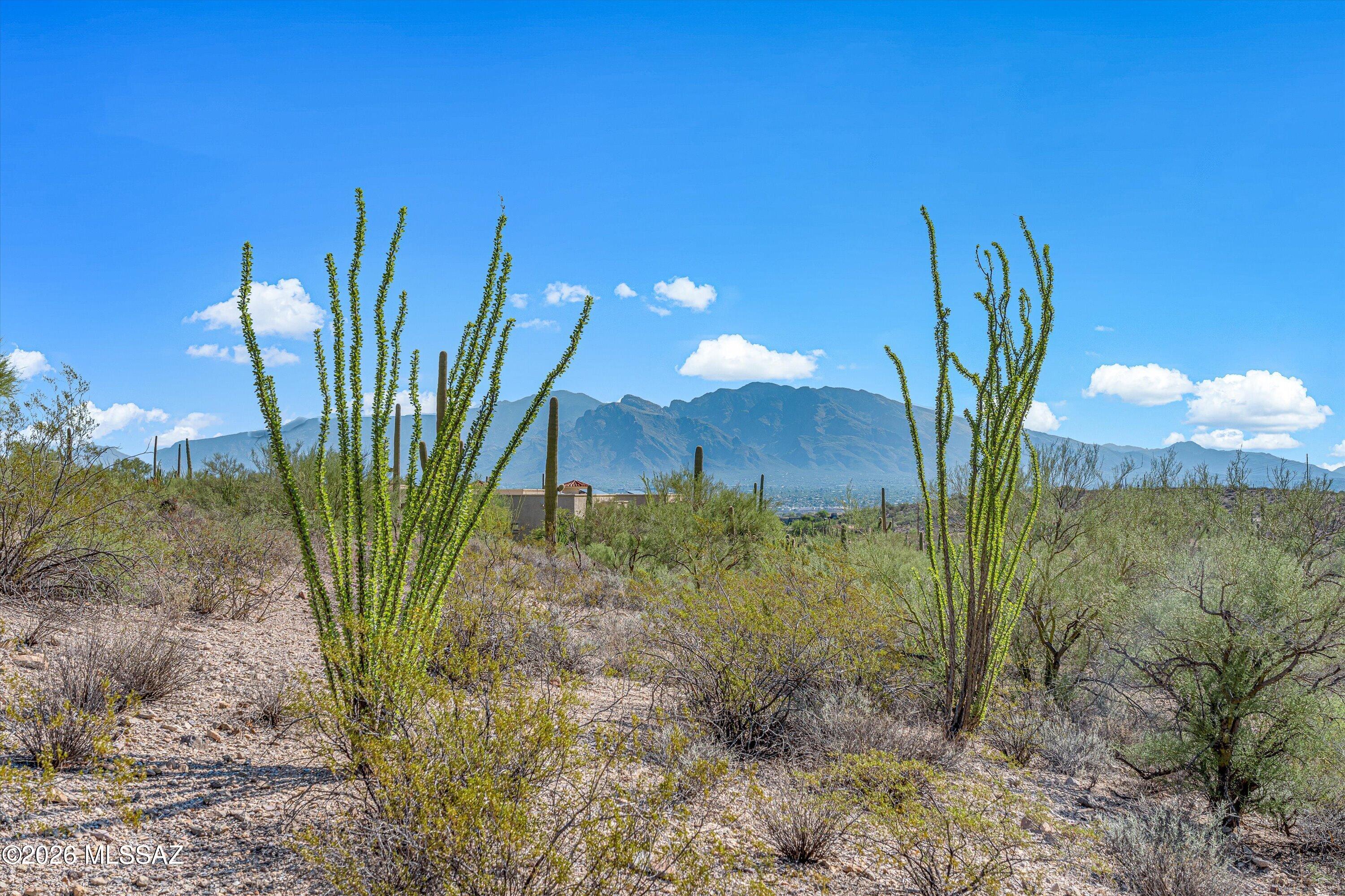 Tucson Mountain Reserve (1-124) - Land