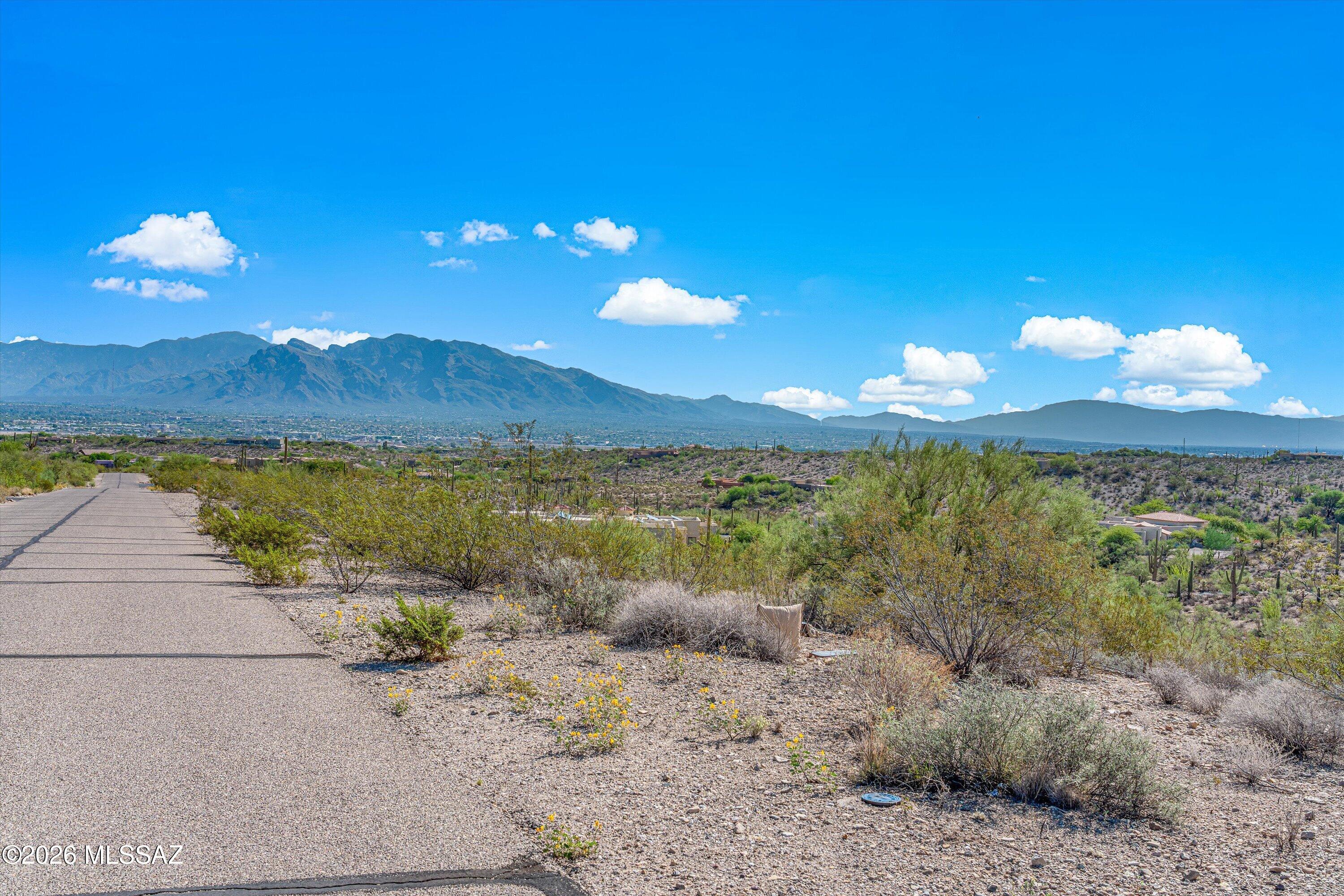 Tucson Mountain Reserve (1-124) - Land