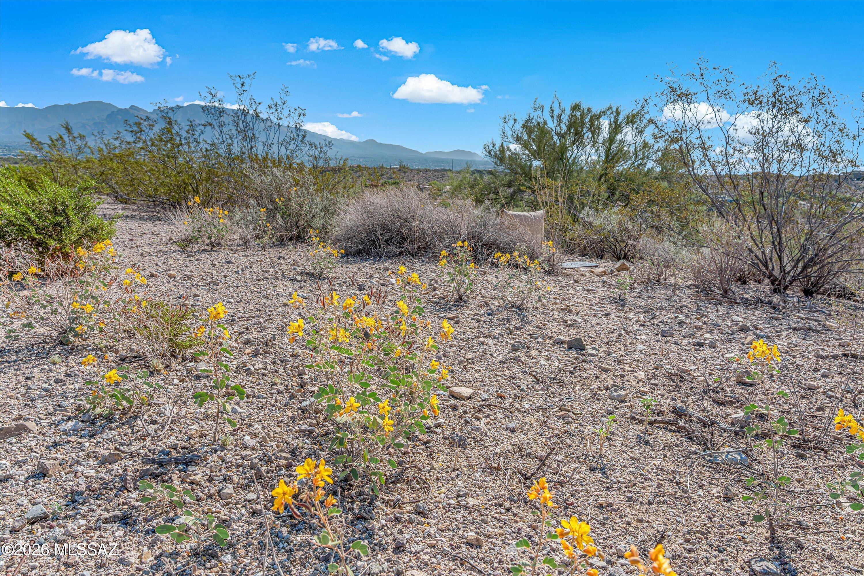 Tucson Mountain Reserve (1-124) - Land