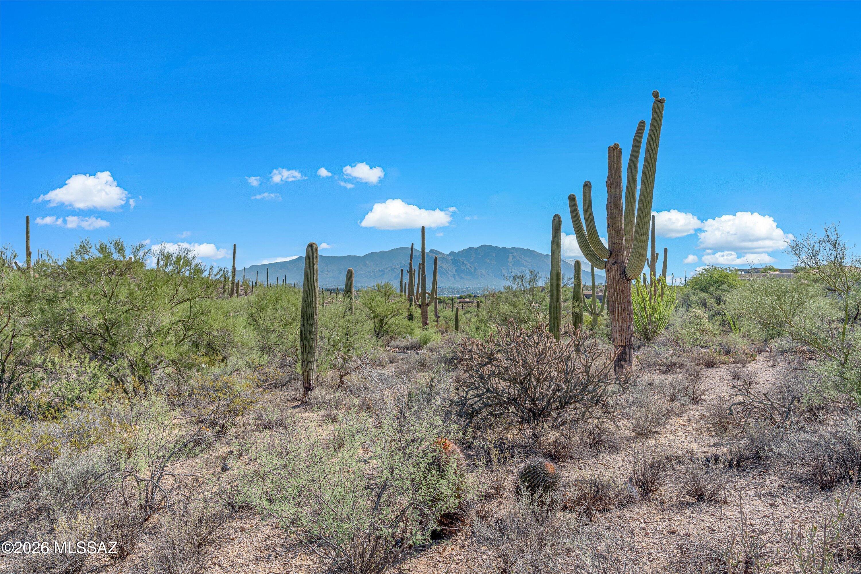 Tucson Mountain Reserve (1-124) - Land