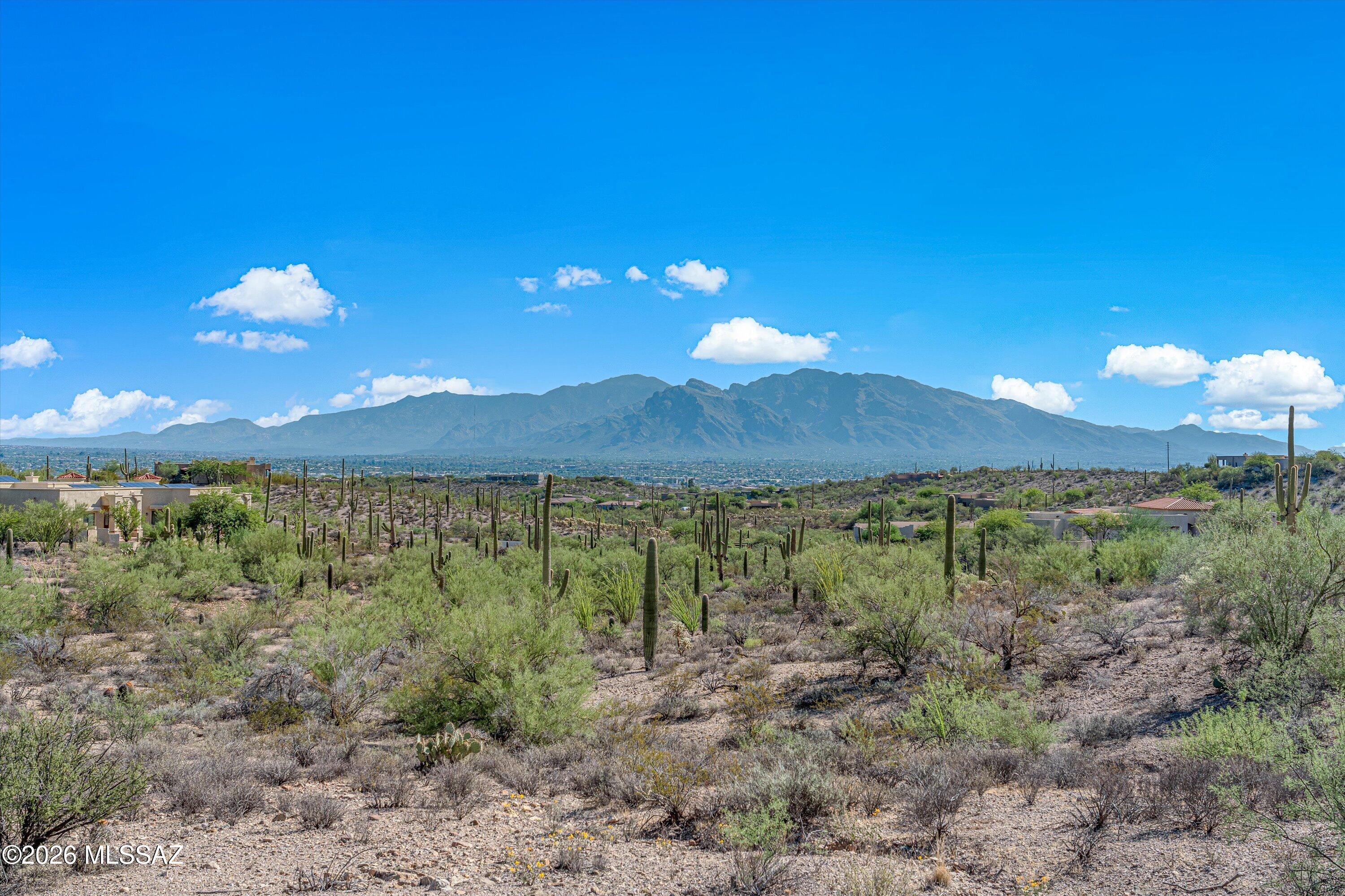 Tucson Mountain Reserve (1-124) - Land
