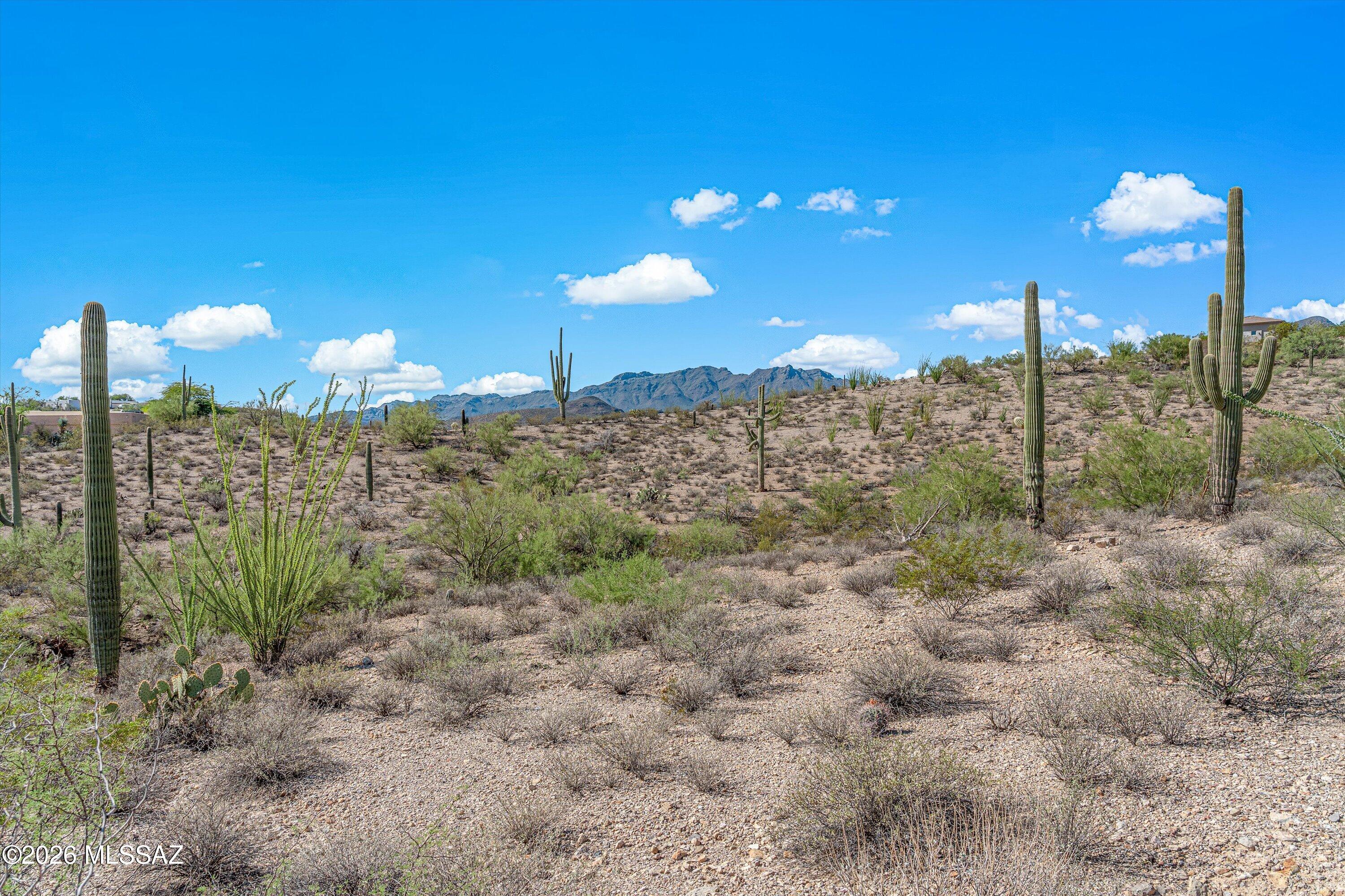 Tucson Mountain Reserve (1-124) - Land