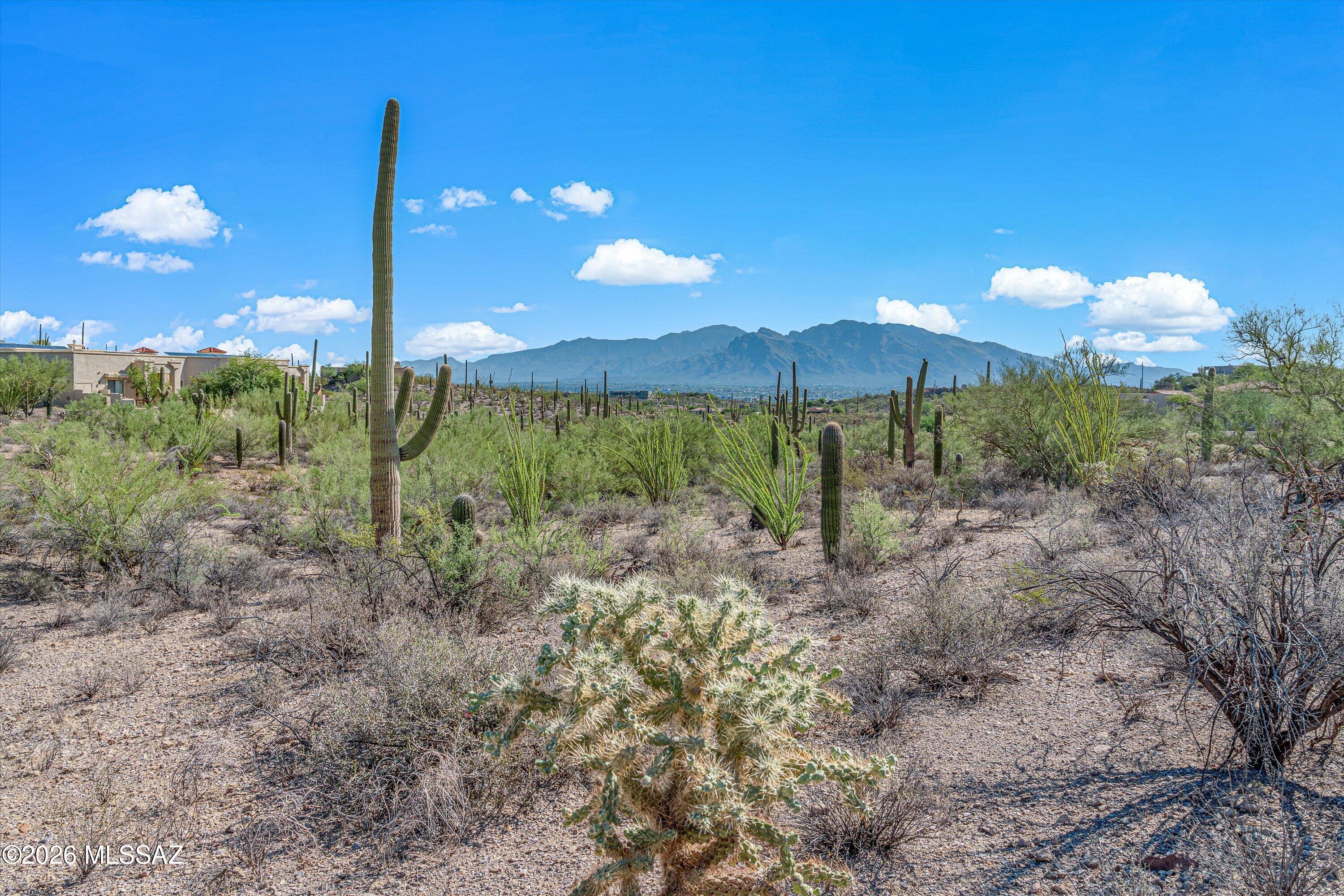 Tucson Mountain Reserve (1-124) - Land