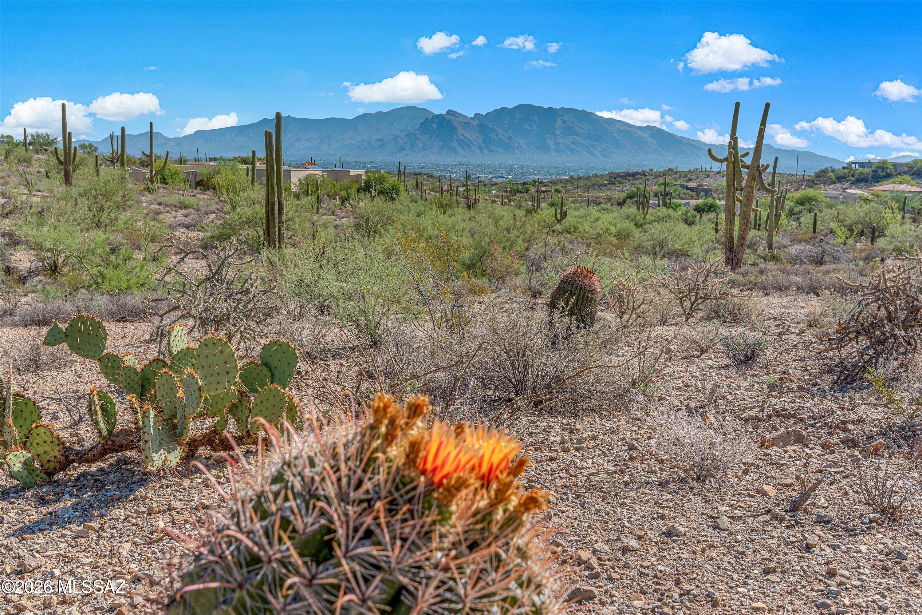 Tucson Mountain Reserve (1-124) - Land