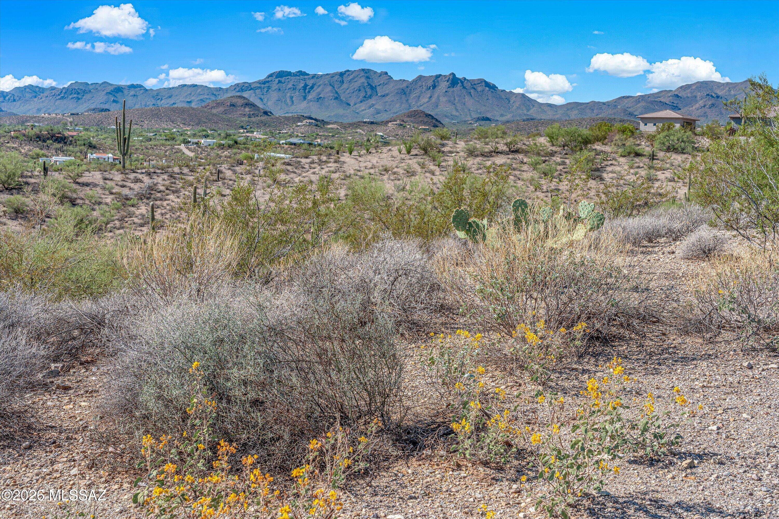 Tucson Mountain Reserve (1-124) - Land
