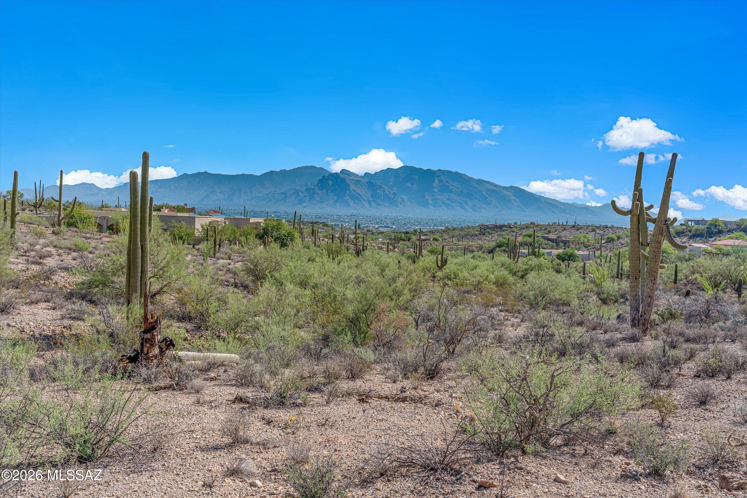 Tucson Mountain Reserve (1-124) - Land