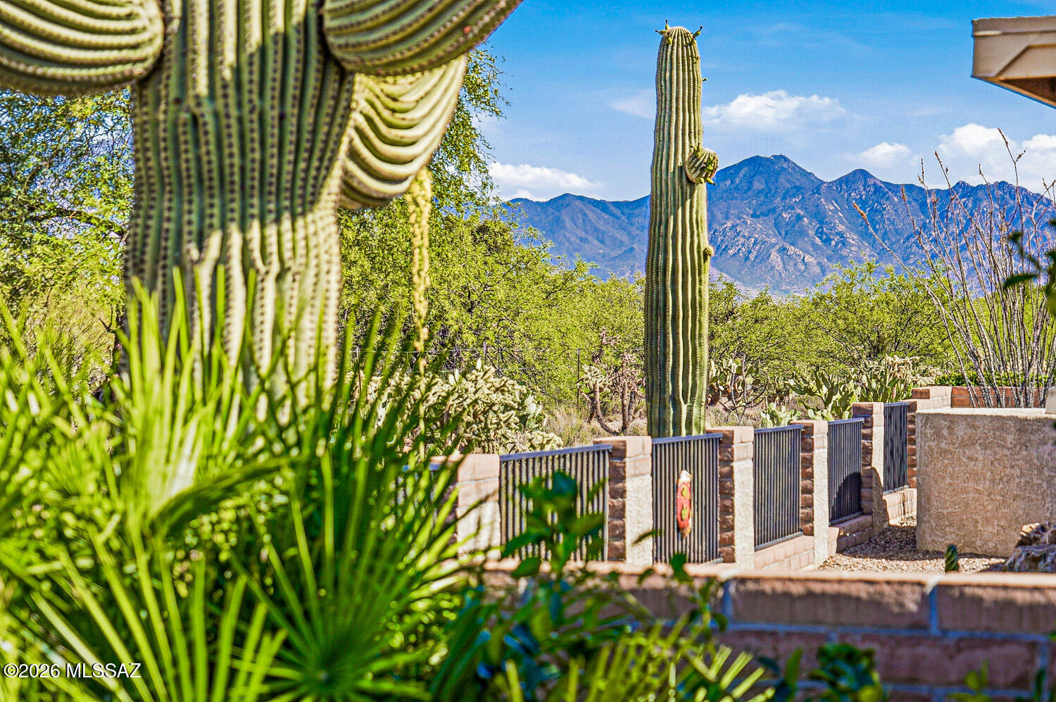 VIEWS, VIEWS, VIEWS! Prime location with breathtaking panoramic mountain and desert views! Set on a premium lot bordering the Santa Rita Experimental Range, this property enjoys an incredible backdrop of untouched desert beauty, offering outstanding privacy, peaceful surroundings, and endless views of the natural landscape and wildlife. This light-filled open-concept home offers approximately 1,848 sq ft with 3 bedrooms and 2 bathrooms, thoughtfully designed to capture the incredible scenery from nearly every angle. Enjoy peace of mind with a brand-new roof installed in 2024! Inside, you'll love the stylish blend of ceramic tile throughout with luxury plank flooring in the bedrooms, plantation shutters, a cozy gas fireplace, and expansive windows that fill the home with natural light. The spacious kitchen is truly the heart of the home, featuring abundant cabinetry, granite countertops, stainless steel appliances, and a large breakfast bar that opens beautifully to the living and dining areas, perfect for hosting friends or simply enjoying everyday living in comfort and style.  The flexible third bedroom can easily function as a den or office. The split-bedroom floor plan offers added privacy for guests, while the spacious owner's suite showcases mountain views and features dual sinks, a walk-in shower, and a walk-in closet. Step outside to the fantastic backyard retreat where you can relax in the saltwater spa while enjoying spectacular sunrises, colorful sunsets, and the peaceful beauty of the Arizona desert. Homes with a setting like this rarely come on the market!
