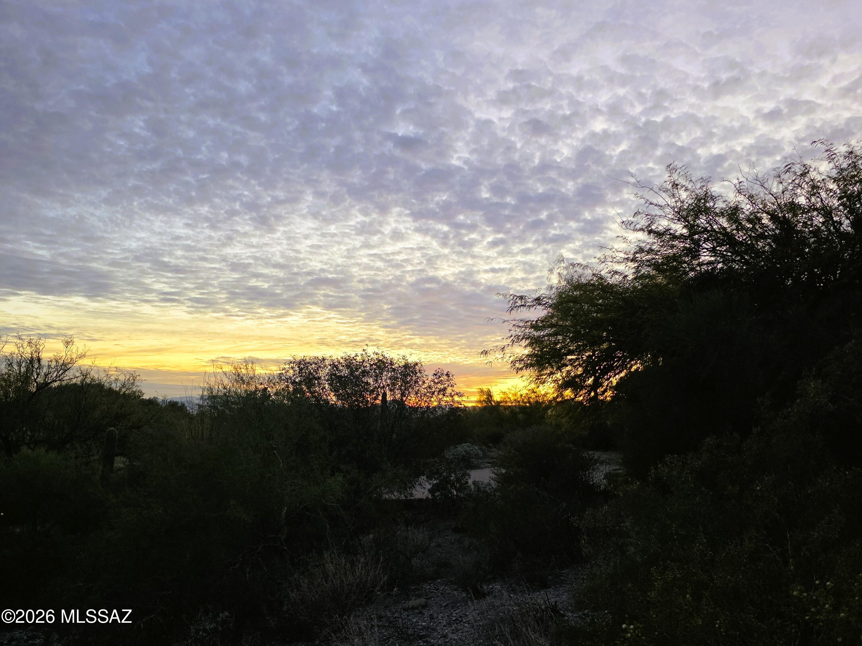 PRICE REDUCED TO SELL IMMEDIATELY. $125,000 price reduction on this RARE AND EXCEPTIONAL OPPORTUNITY to secure one of the final parcels in the prestigious, gated La Paloma Ridge Estates. Enjoy breathtaking panoramic views encompassing the Tucson valley's sparkling city lights and majestic mountain ranges. Design your dream home within this coveted District 16 community. A sample 3,000 sq ft, single-level floor plan showcases a potential layout with 3 bedrooms, den/study (easily convertible to a 4th bedroom), and a 3-car garage, all designed to maximize the stunning vistas (available in MLS ''Documents''). Don't miss this chance to create your legacy in La Paloma.