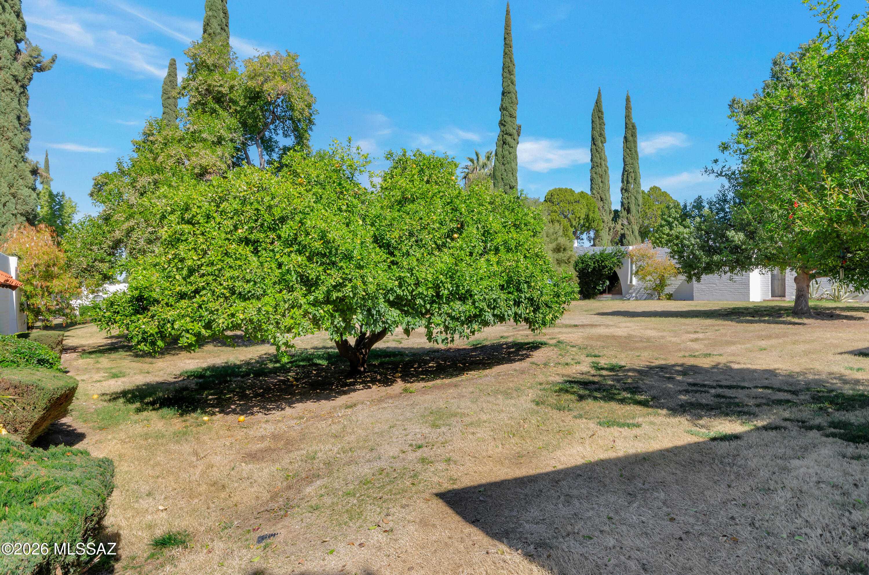 Las Lomitas (1) - Residential