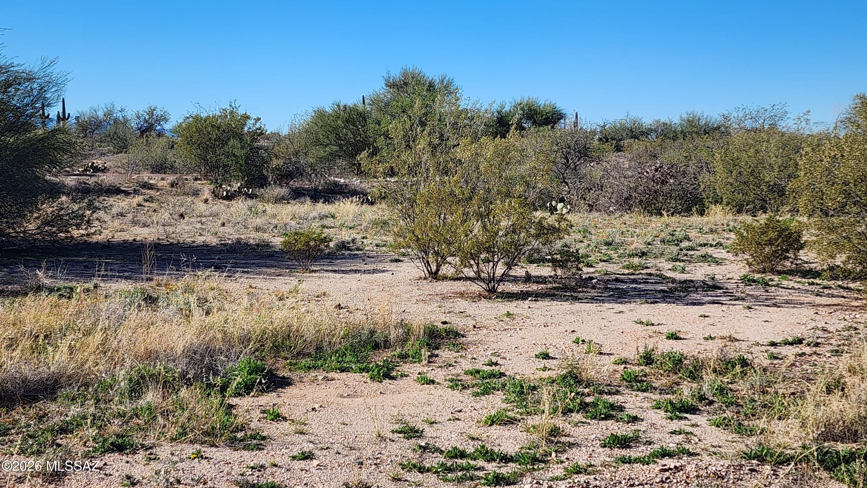 This spacious lot overlooks a community green space and is located on desirable Galileo Lane.  This is a 55+ development.