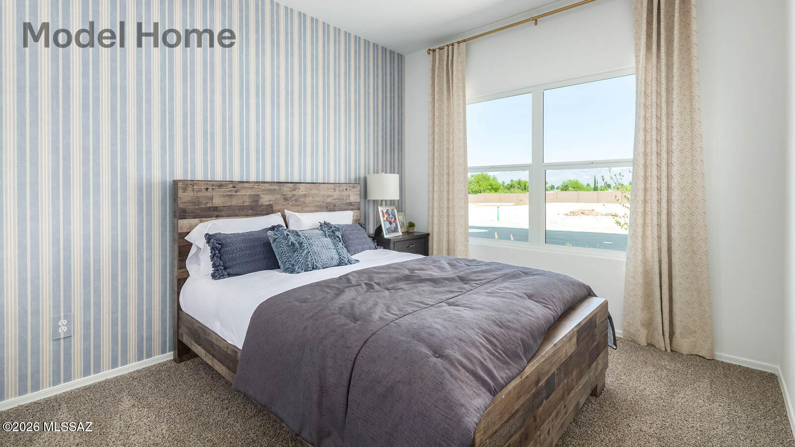 Saguaro Bloom SQ20180540069 - Residential