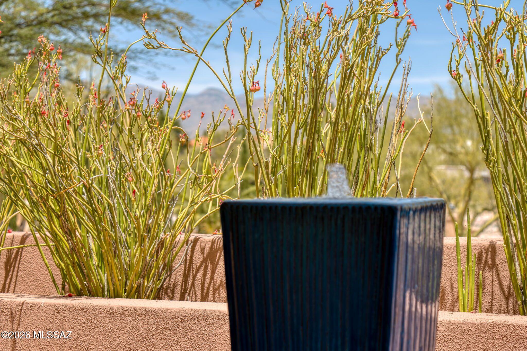 Sabino Vista Heights (1-83) - Residential