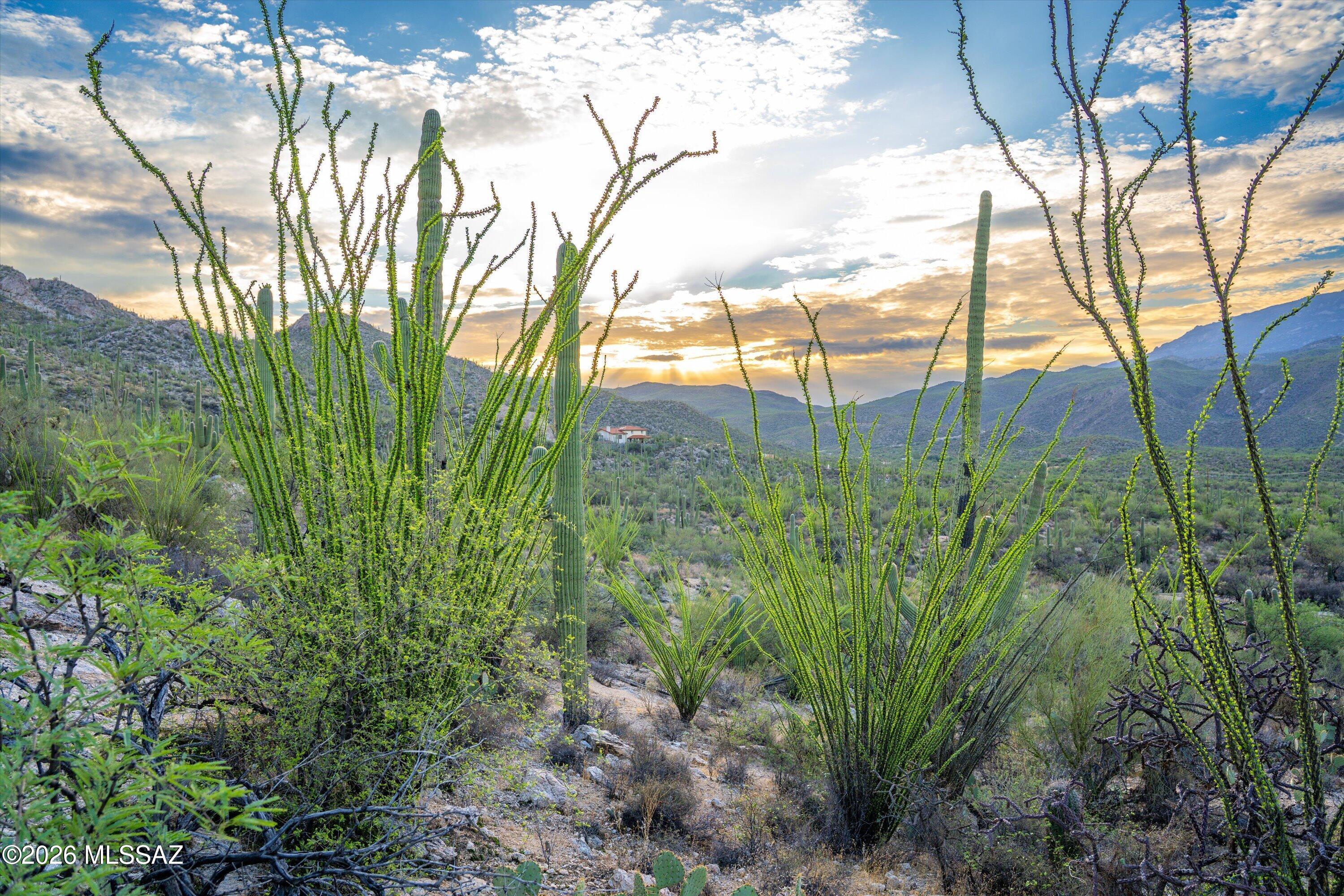 Picture perfect in every direction, 8.97 Saguaro covered acres in La Cebadilla Estates. Rugged rock hillside to the north. Elevated views of the valley to the south. Sunrise over the Rincons to the east and sunsets over the horizon to the west. 360 degrees of desert beauty on property zoned for horses and livestock. Minutes away from horse riding trails, HOA maintained lake with fishing and boat use while fishing. A stunning place to build your home, watch native wildlife, monsoon rains and rainbows, inspiring sunrises and relaxing sunsets. Listing agent has the survey map.